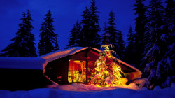 cabin-in-the-woods.jpg