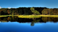 Ripple Lake.jpg