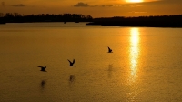 Sunset 06.jpg