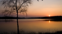 Sunset 07.jpg