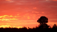 Sunset 08.jpg