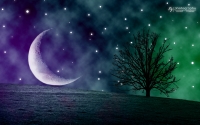 Sweet_Dreams_by_sharkowskixchaos.jpg